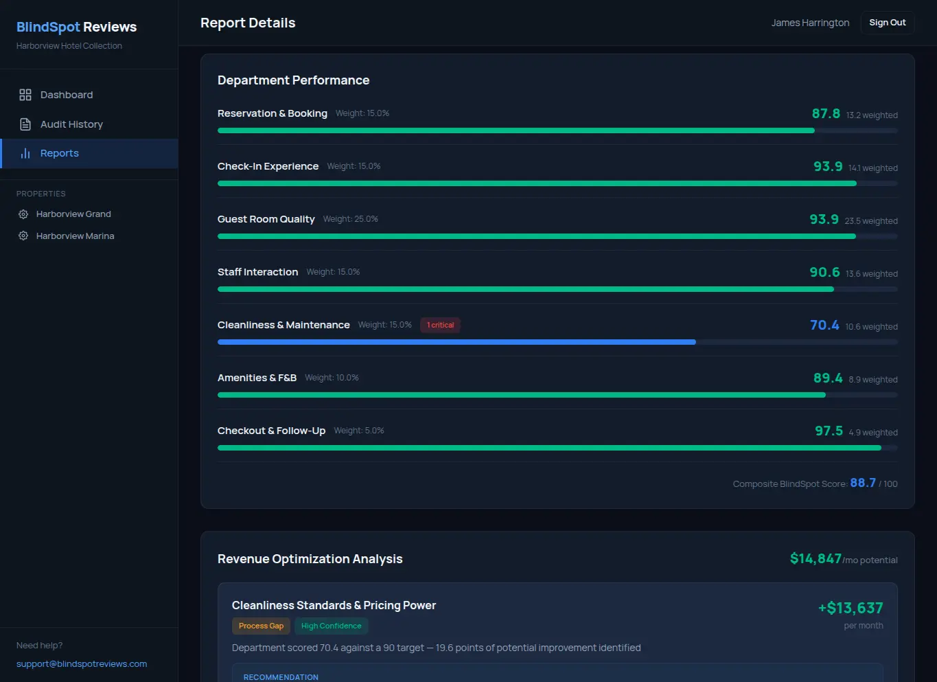 BlindSpot Reviews performance report executive summary with department scores and analysis