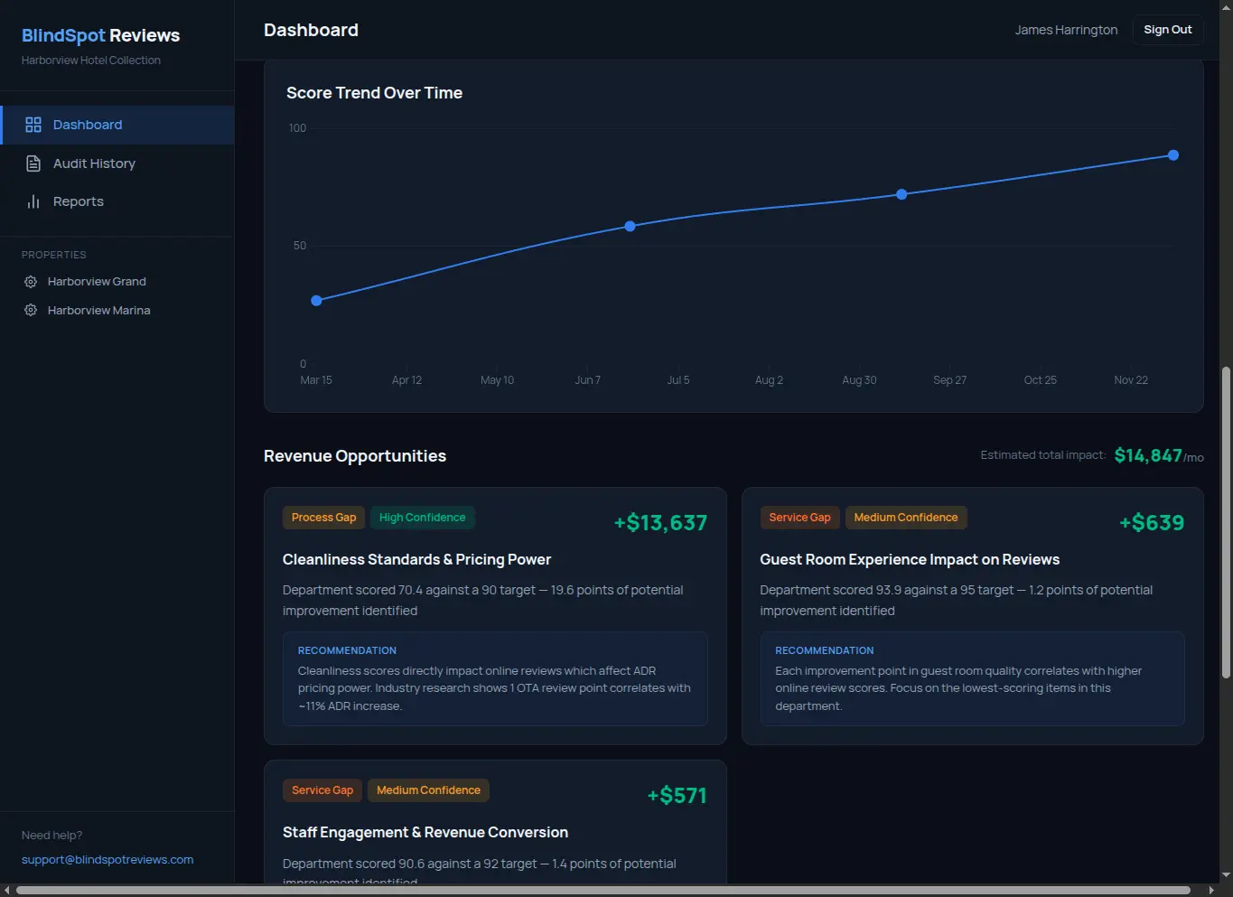 BlindSpot Reviews revenue opportunity analysis showing process gaps and monthly impact estimates